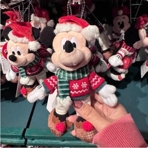 [11/8/2024-18:58-420] Disney Mickey Bag Charm