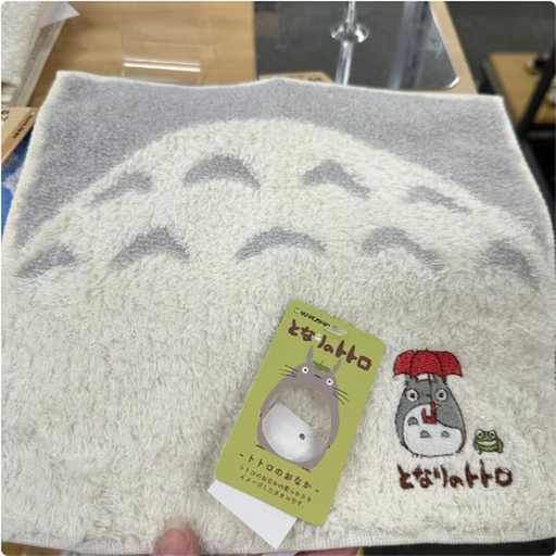 [11/9/2024-10:33-120] Mintow totoro