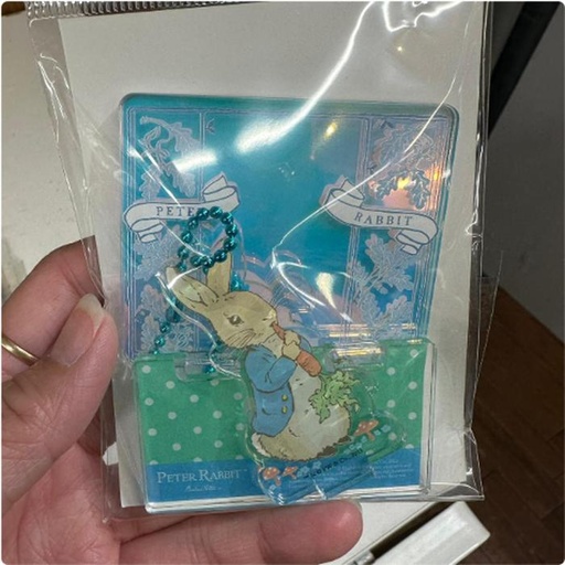 [11/9/2024-11:07-165] Peter Rabbit Keychain Acrylic Stand