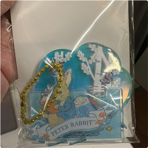 [11/9/2024-11:07-165] Peter Rabbit Keychain Acrylic Stand
