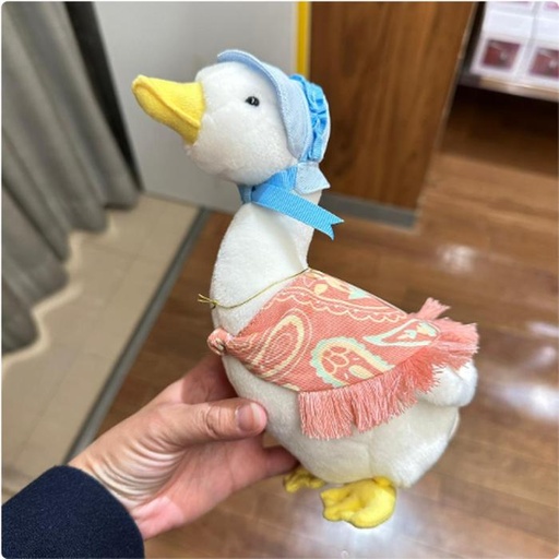 [11/9/2024-11:12-750] Peter Rabbit Jemima The Duck Pillah size S
