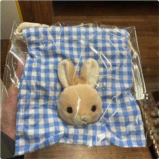 [11/9/2024-11:24-200] Peter Rabbit Drawstring Pouch there is a mascot like this