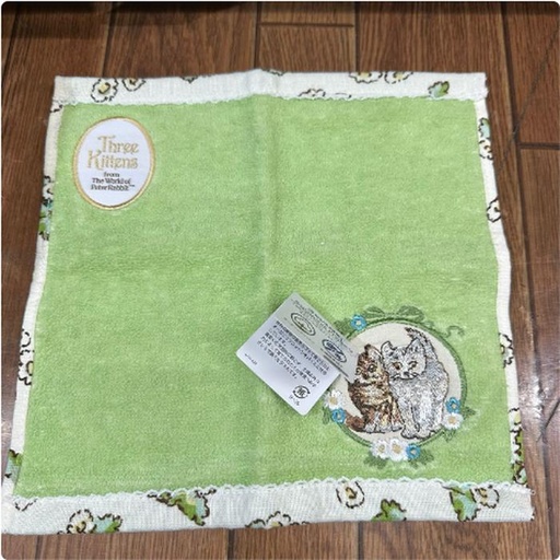[11/9/2024-11:28-120] Peter Rabbit Mintow Green