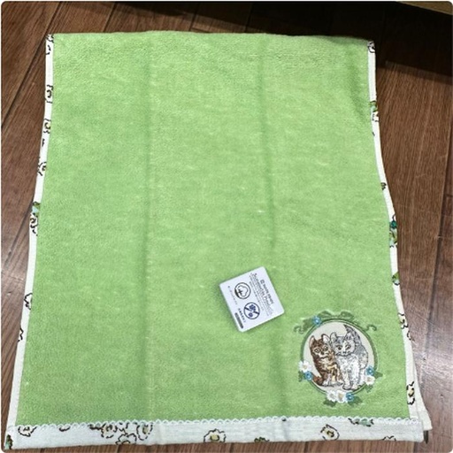 [11/9/2024-11:33-195] Peter Rabbit Face Towel Green