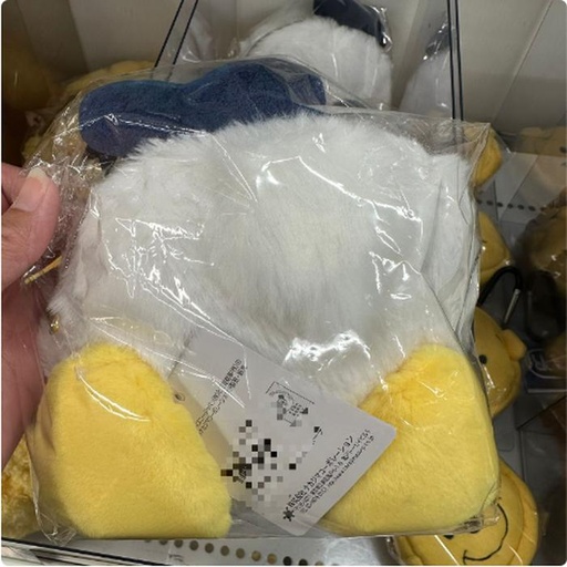 [11/9/2024-13:50-310] Donald fluffy ass pouch