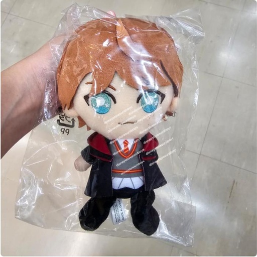 [11/9/2024-14:56-315] Harry Potter Plush