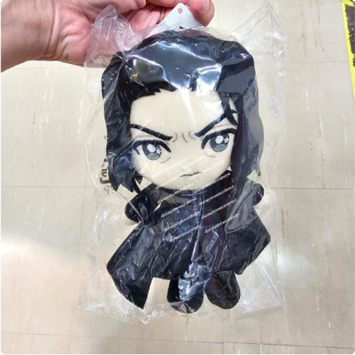[11/9/2024-14:56-315] Harry Potter Plush