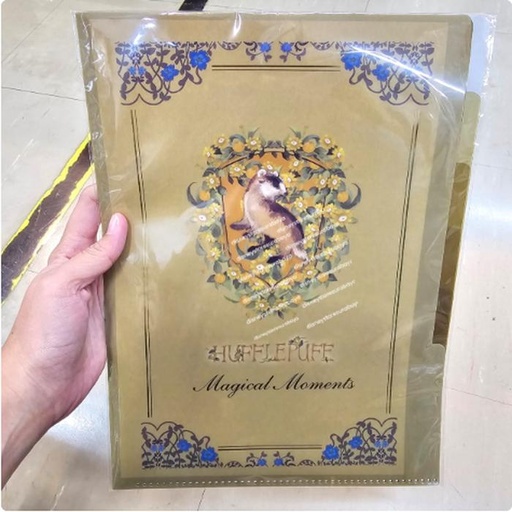 [11/9/2024-15:21-150] Hufflepuff File Index