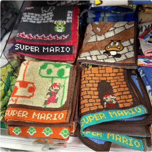 [11/9/2024-15:24-115] Mintow Mario