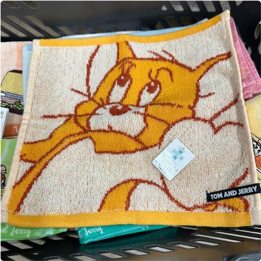 [11/9/2024-15:31-100] Mintow Tom & Jerry