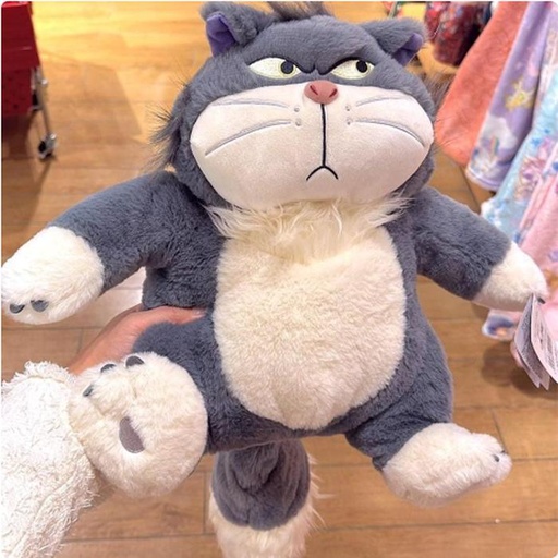 [11/10/2024-08:02-825] Lucifer hot water bottle warm. Can fill hot water to warm the stomach