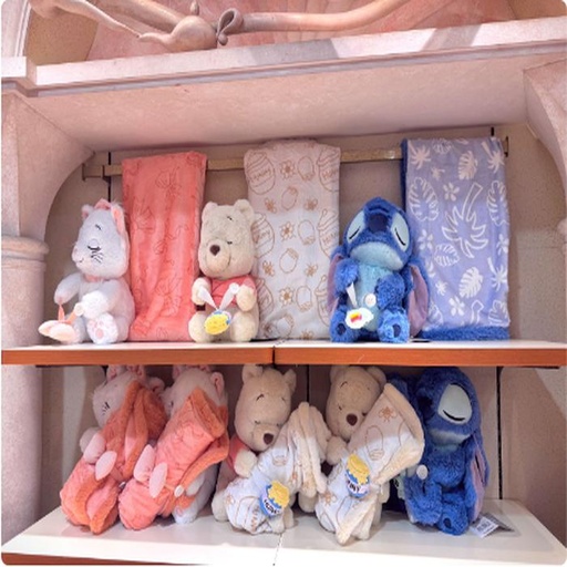[11/10/2024-08:32-750] Plush set with the blanket uk 70x100cm