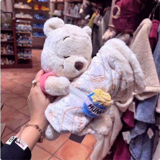 [11/10/2024-08:33-750] Pooh Plush with Blanket set 