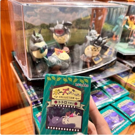 [11/10/2024-13:14-225] Random Totoro