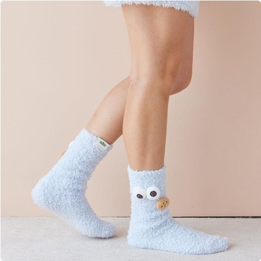 [11/10/2024-16:01-485] Room Socks Cookie Monster