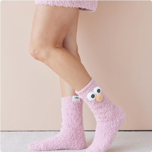 [11/10/2024-16:02-485] Room Socks Elmo
