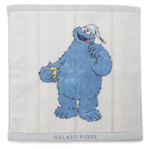 [11/10/2024-16:05-260] Hand towel ss blue