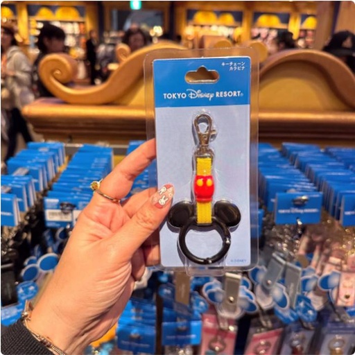 [11/14/2024-12:02-300] Carabiner Keychain Legend Handle Mickey
