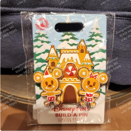 [11/16/2024-17:53-370] Pin Gingerbread House 