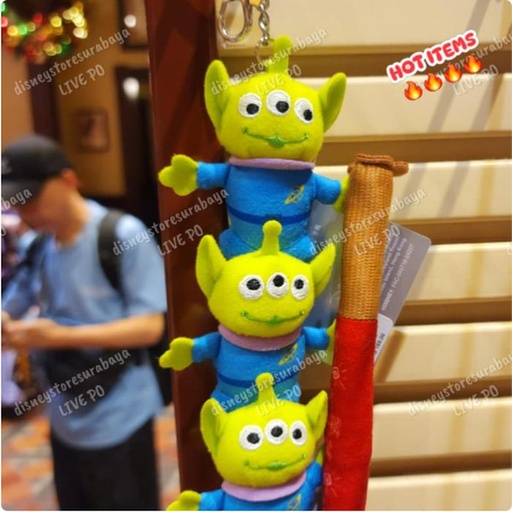[11/16/2024-19:03-420] Keychain Alien