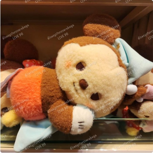 [11/16/2024-19:03-540] Plush Mickey