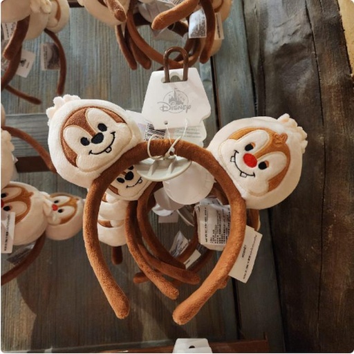 [11/17/2024-17:06-500] Dimsum Chip Dale headband 