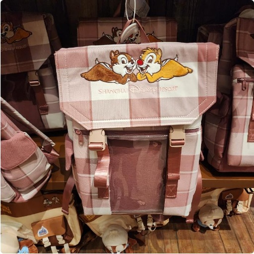 [11/17/2024-17:26-None1150] Backpack Model Chip Dale Checker 
