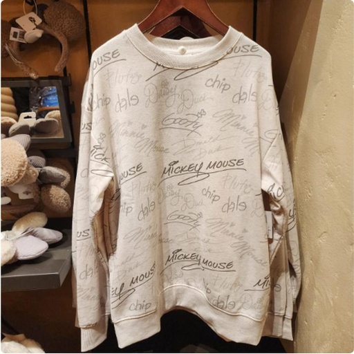 [11/17/2024-18:27-750] Char Disney's Signature Sweater 