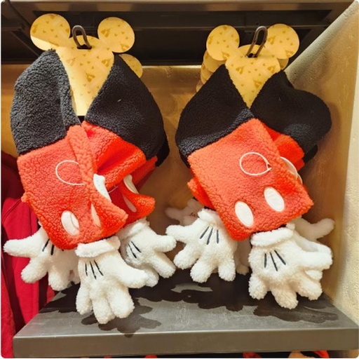 [11/17/2024-18:27-580] Warm mickey scarf 