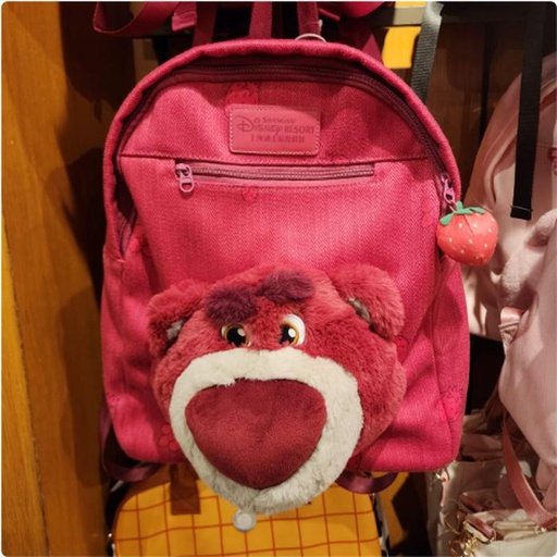[11/17/2024-19:00-None1250] Big backpack lotso 