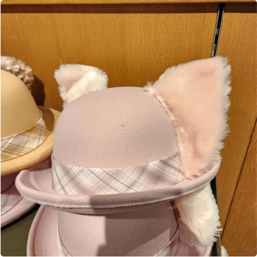 [11/17/2024-19:11-620] Linabell Funny Hats 