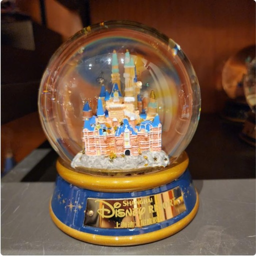 [11/17/2024-19:11-660] SnowGlobe Medium Castle SHDR range 14 cm 