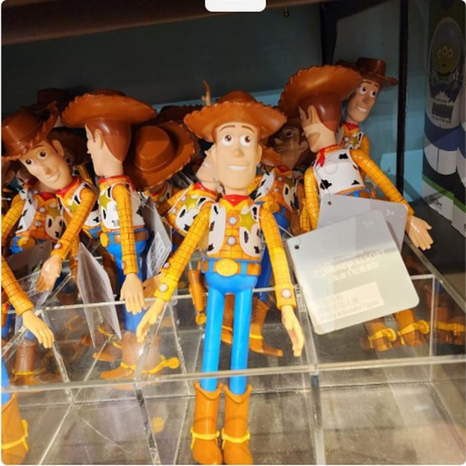 [11/18/2024-13:38-270] Woody Articulation Toy 