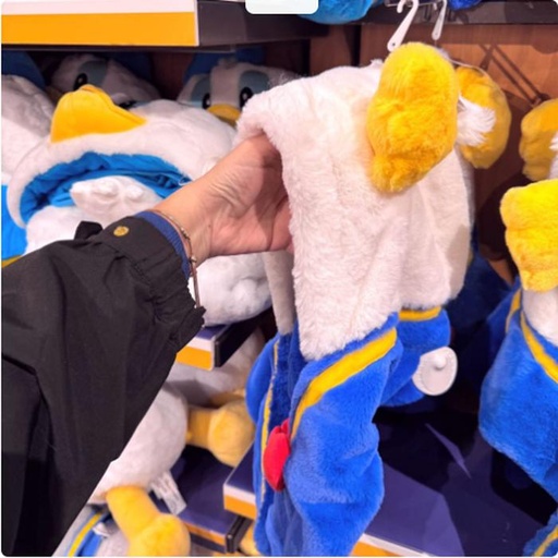 [11/18/2024-13:46-590] Donald Hats 