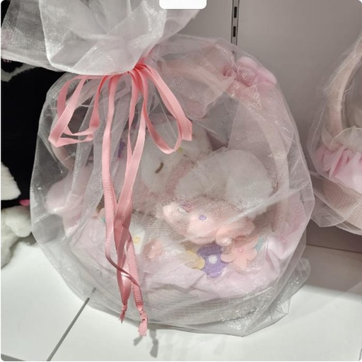 [11/18/2024-20:33-None1150] This exclusive plush can be casted - Melody