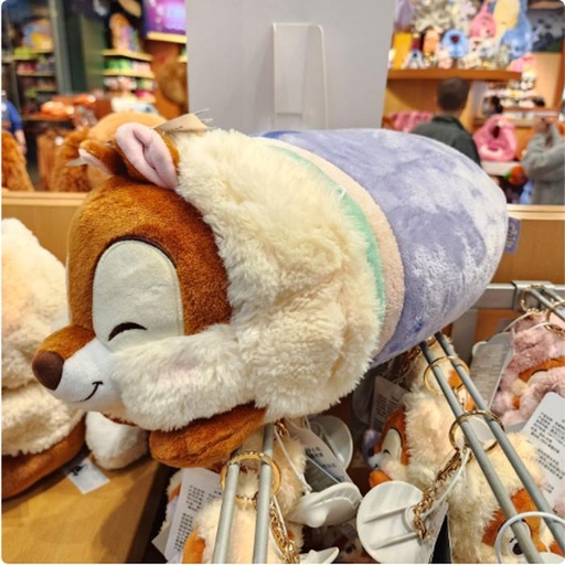 [11/19/2024-12:32-820] Chip Dale Winter 3 in 1 push blanket pillow 