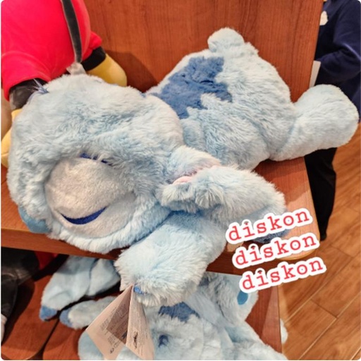 [11/19/2024-12:40-700] Plush Stitch