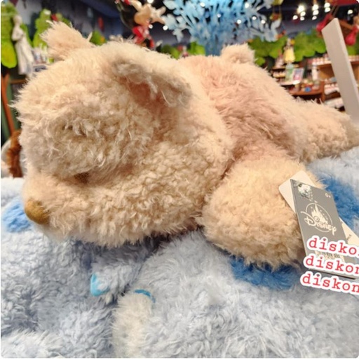 [11/19/2024-12:40-840] Plush Big Fluffy Pooh