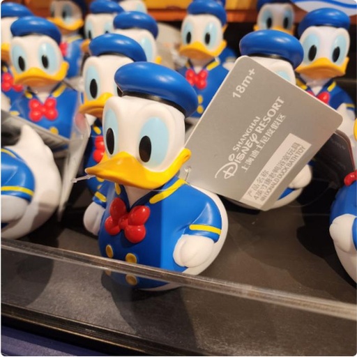 [11/20/2024-18:15-260] Bath Toys Small Donald 