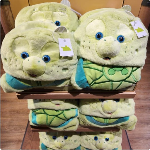 [11/20/2024-18:51-990] Multifunctional blanket duffy @each