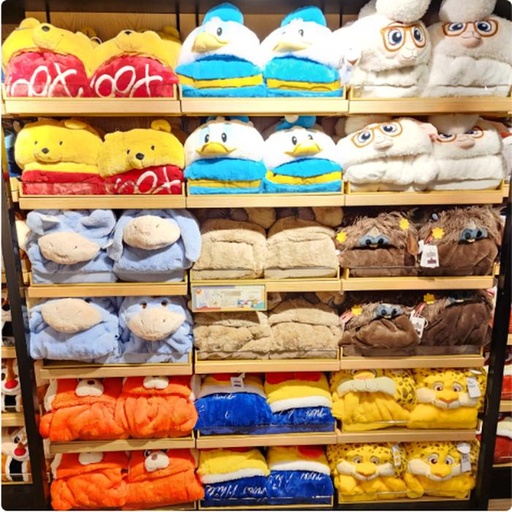 [11/20/2024-18:51-900] Multifunction of Disney Blanket @Each