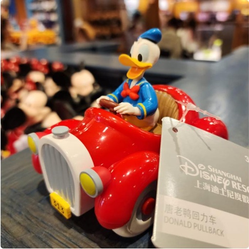 [11/21/2024-10:19-260] Donald pullback toys are pulled out
