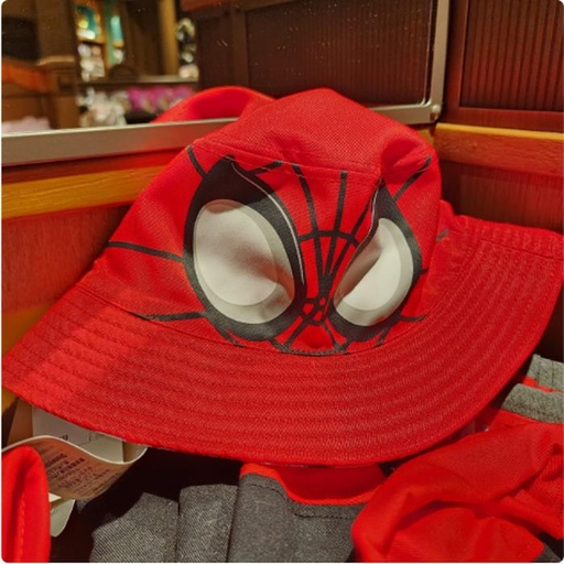[11/21/2024-10:39-480] Bucket Hat Spiderman 