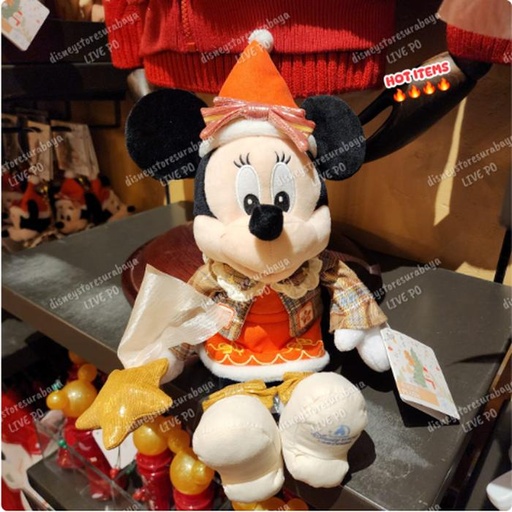 [11/22/2024-12:23-630] Winter Holiday - Push Minnie 