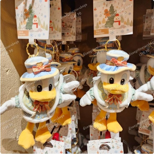 [11/23/2024-09:11-440] Winter Holiday - Strap Donald