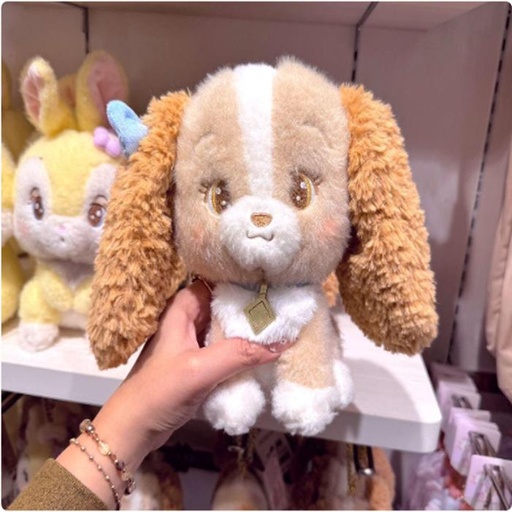 [11/25/2024-17:05-570] Lady Plush