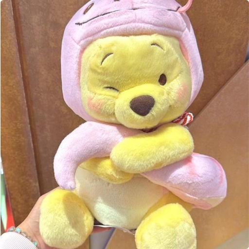 [12/7/2024-09:28-730] Pink Pooh Plush 