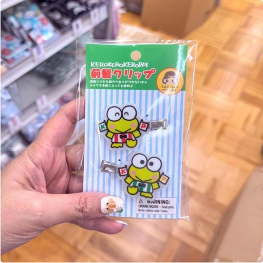 [12/12/2024-15:04-110] Porous Hair Clip Set