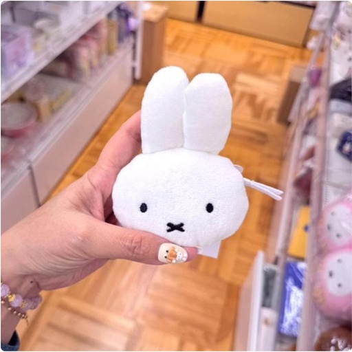 [12/12/2024-18:28-225] Miffy meteran