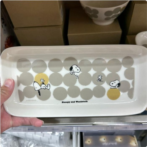 [12/19/2024-13:31-350] Snoopy Tray Plate Ceramic Gray